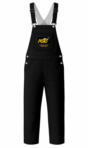 alabama state university1.webp