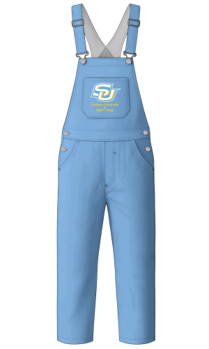 southern university1.webp